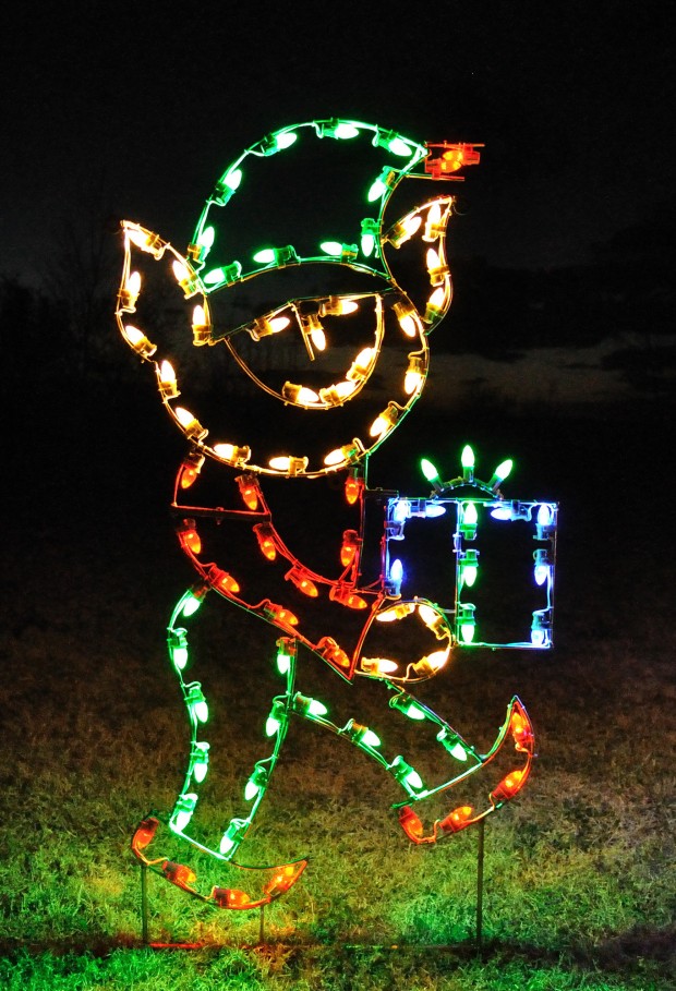 18 Amazing Outdoor Christmas Light Displays (2)