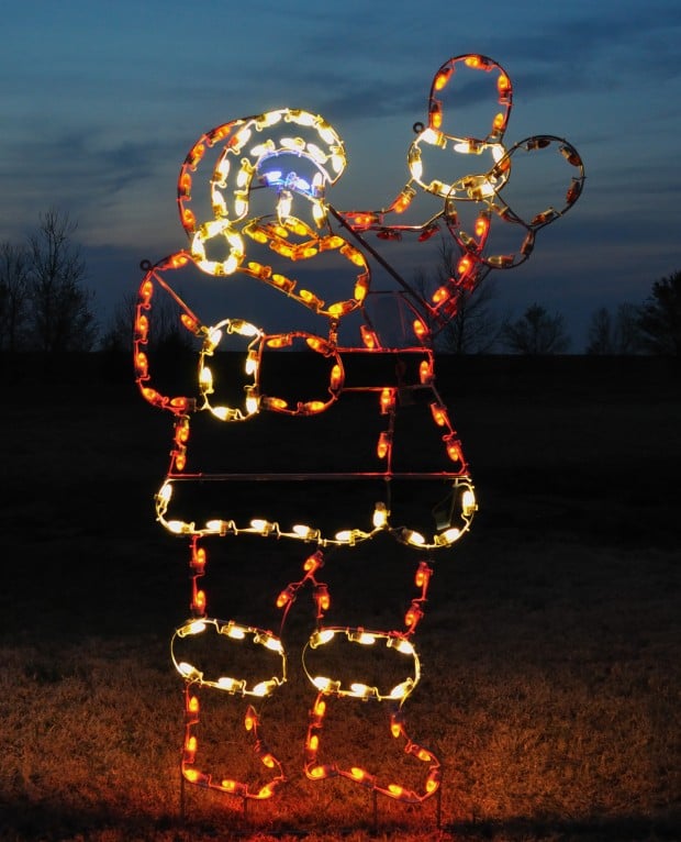 18 Amazing Outdoor Christmas Light Displays (6)