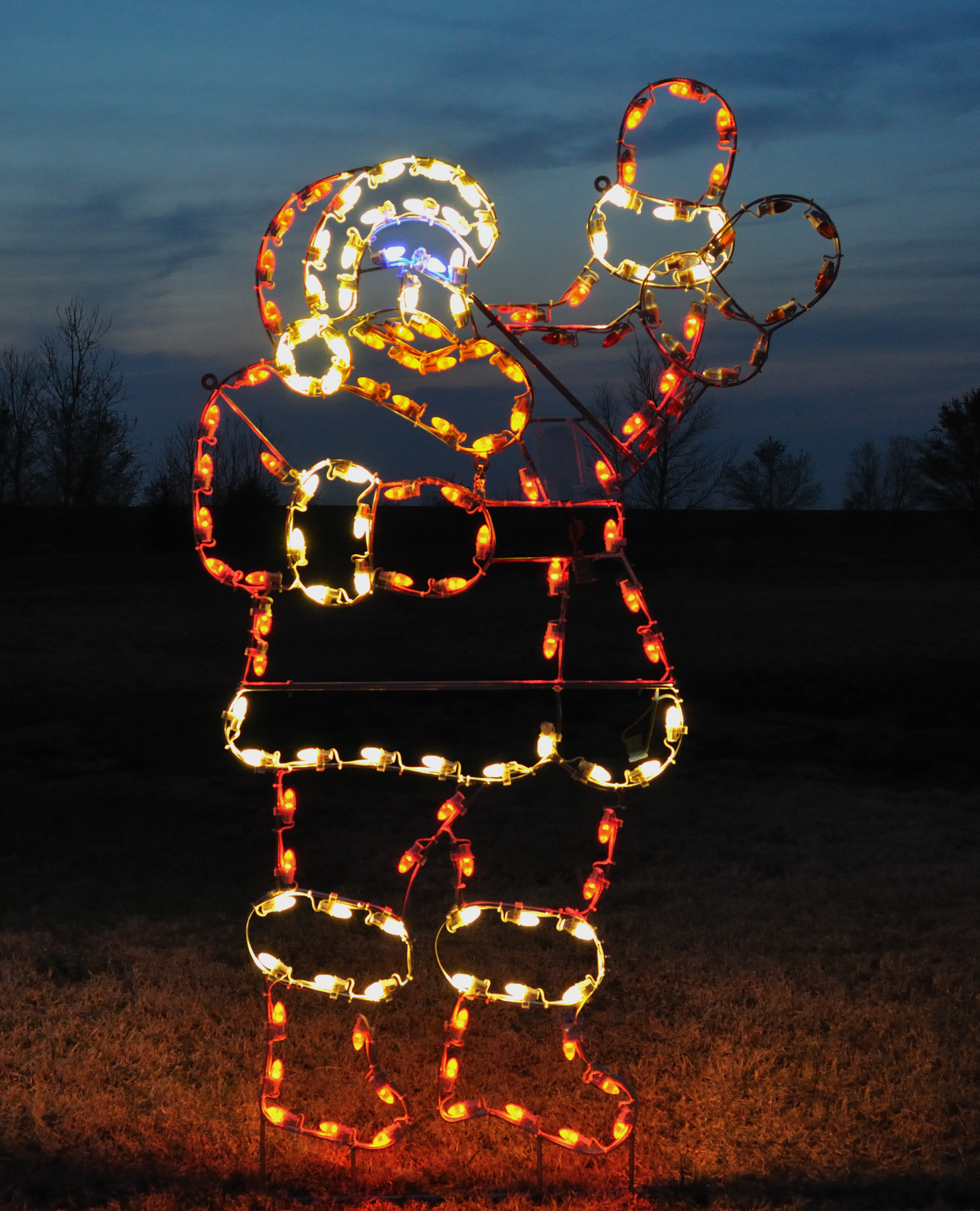2024 Outdoor Christmas Lights - Moyra Tiffany