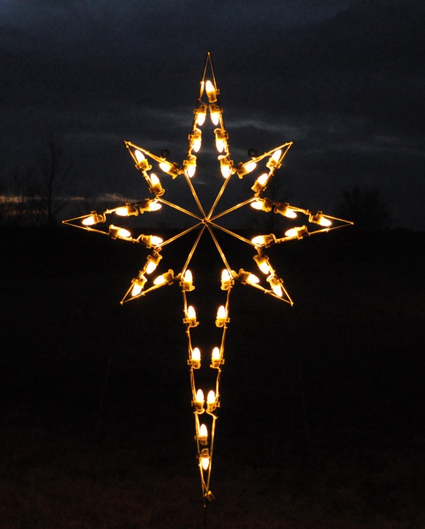 18 Amazing Outdoor Christmas Light Displays (9)