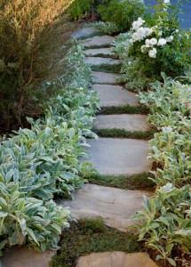 20 Great Ideas for Perfect Garden Path
