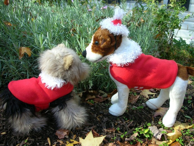 30 Extraordinary Christmas Pet Clothing and Accessory Pieces (25)