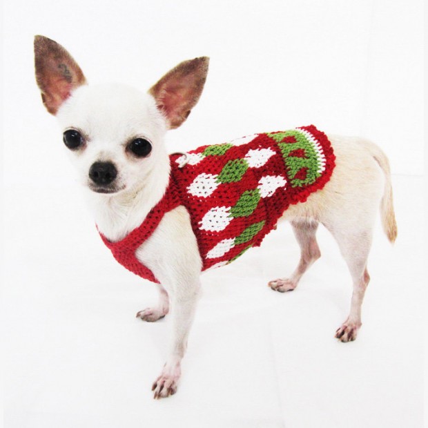 30 Extraordinary Christmas Pet Clothing and Accessory Pieces (27)