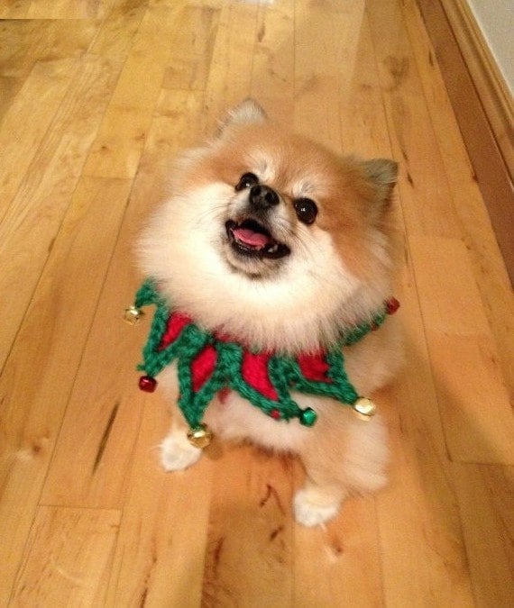 30 Extraordinary Christmas Pet Clothing and Accessory Pieces (5)