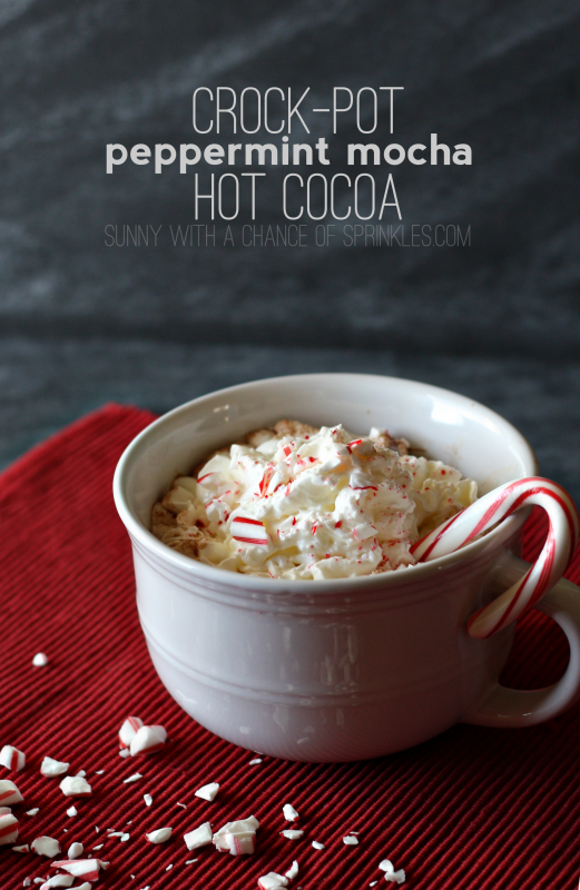 17 Great Hot Chocolate Recipes for Christmas that Your Family Will Love (1)