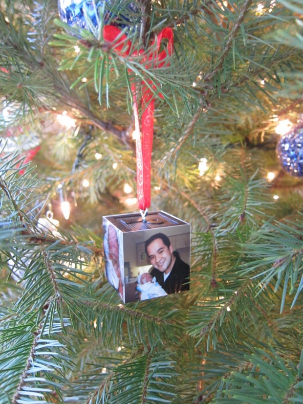 18 Awesome DIY Christmas Photo Ornaments (11)
