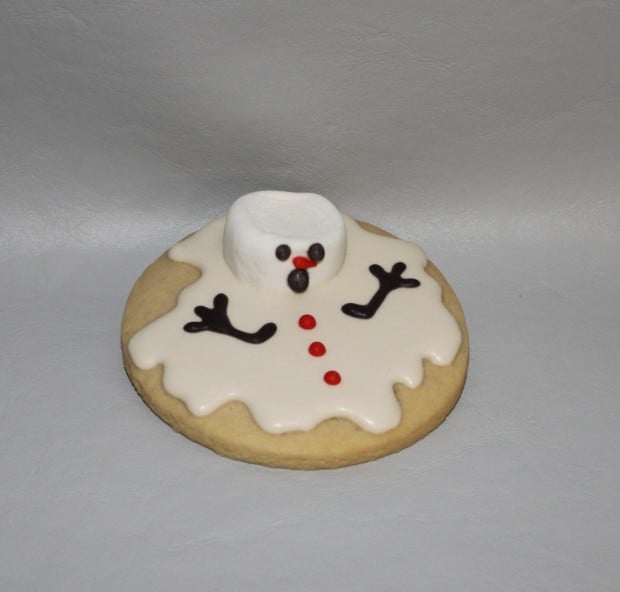 18 Delightful Christmas Sugar Cookies (11)