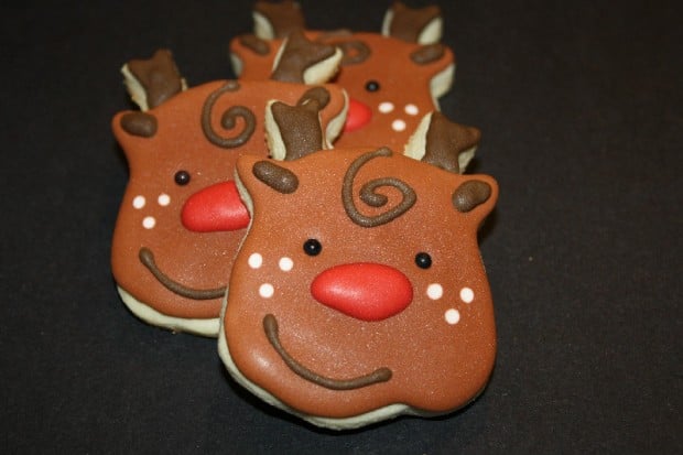 18 Delightful Christmas Sugar Cookies (16)