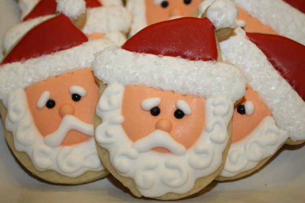 18 Delightful Christmas Sugar Cookies (2)