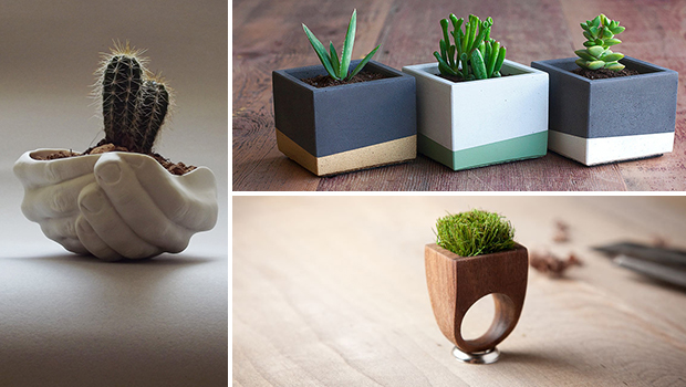 25 Cool and Handmade Planter Designs - wooden, vase, Succulent, stone, smooth, set, reclaimed, porcelain, Plants, Planter, plant, modern, hanging, handmade, glass, garden, ecology, ecological, eco-friendly, design, decor, ceramic, bottle