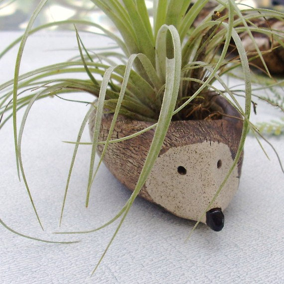 25 Cool and Handmade Planter Designs (14)