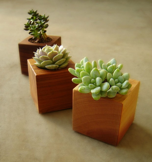 25 Cool and Handmade Planter Designs (15)