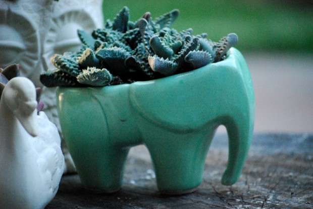 25 Cool and Handmade Planter Designs (18)