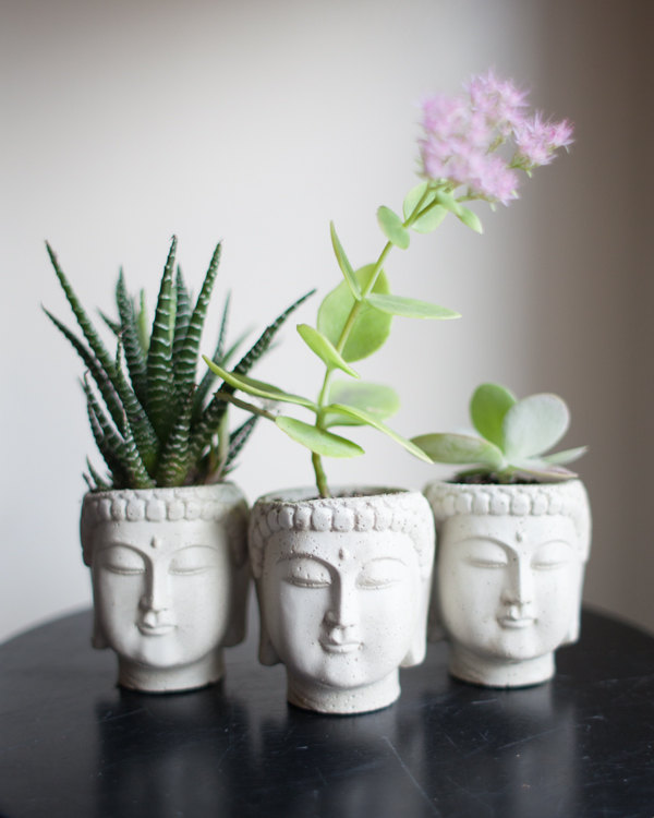 25 Cool and Handmade Planter Designs (3)