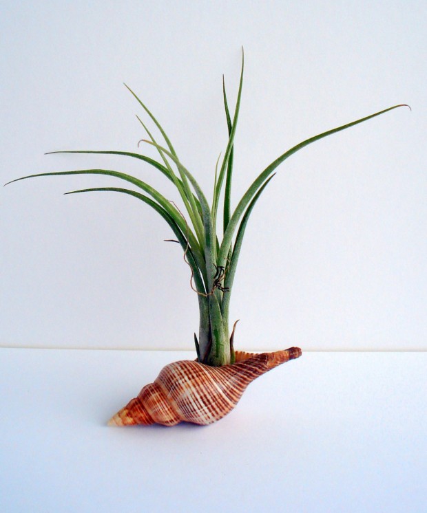 25 Cool and Handmade Planter Designs (6)