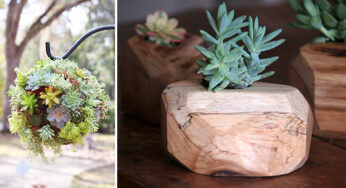 15 Natural and Handmade Living Succulent Decorations