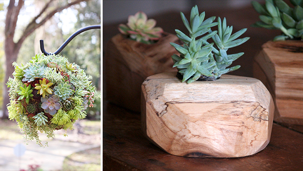 15 Natural and Handmade Living Succulent Decorations - yard, wood, Succulent, spring, rustic, reclaimed, Planter, plant, outdoor, Natural, living, lively, live, interior, home, heart, handmade, green, garden, exterior, decoration, cactus