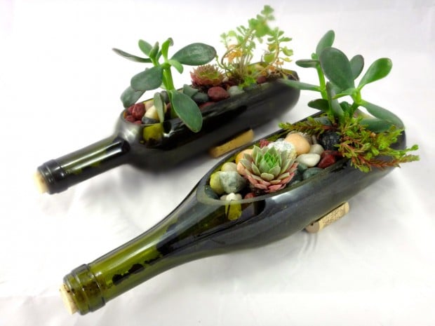 15 Natural and Handmade Living Succulent Decorations (10)