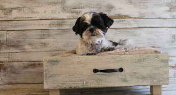 17 Creative Handmade Pet Home Ideas