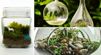 17 Magnificent Terrarium Spring Decorations