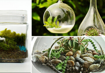 17 Magnificent Terrarium Spring Decorations - zen, vase, upcycled, unicorn, tillandsia, terrarium, Succulent, spring, season, recycled, pyramid, plant, nature, Natural, moss, mini, micro, mason jar, marimo, lively, live, light, leaves, interior, home, handmade, green, glass, geometric, Flower, decoration, decor, cube, cold, bulb, bottle, air plant