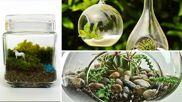 17 Magnificent Terrarium Spring Decorations - zen, vase, upcycled, unicorn, tillandsia, terrarium, Succulent, spring, season, recycled, pyramid, plant, nature, Natural, moss, mini, micro, mason jar, marimo, lively, live, light, leaves, interior, home, handmade, green, glass, geometric, Flower, decoration, decor, cube, cold, bulb, bottle, air plant