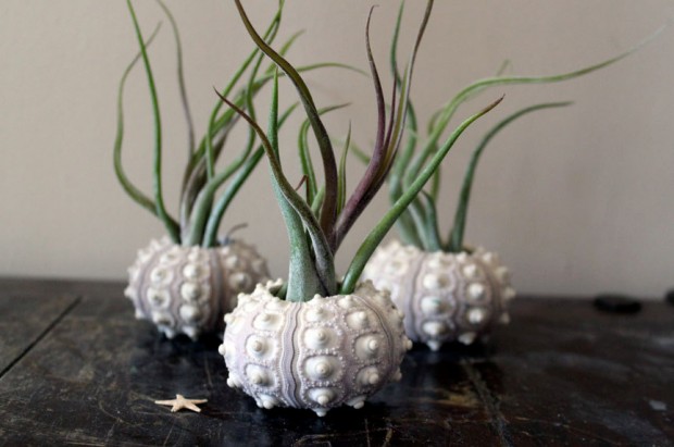 17 Magnificent Terrarium Spring Decorations (12)