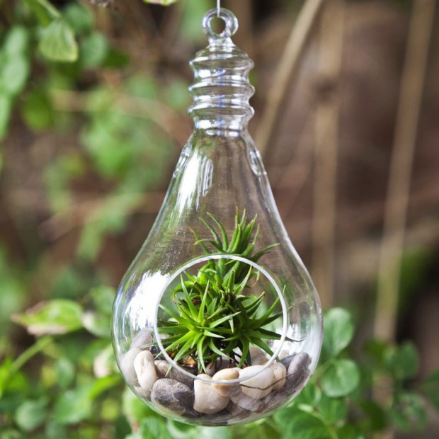 17 Magnificent Terrarium Spring Decorations (13)