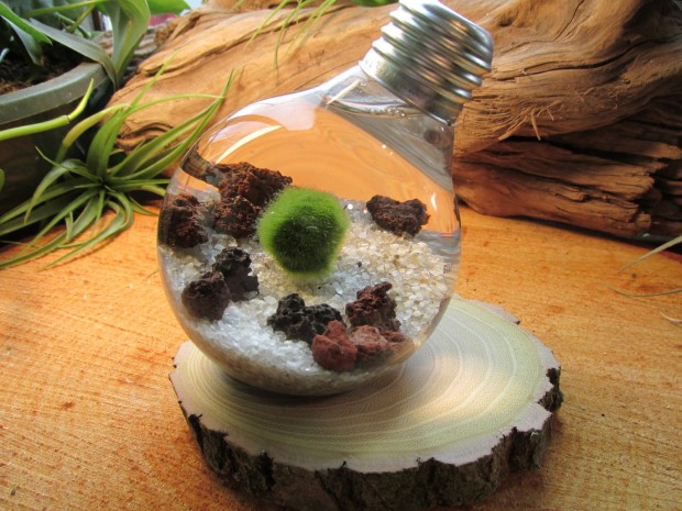 17 Magnificent Terrarium Spring Decorations (5)