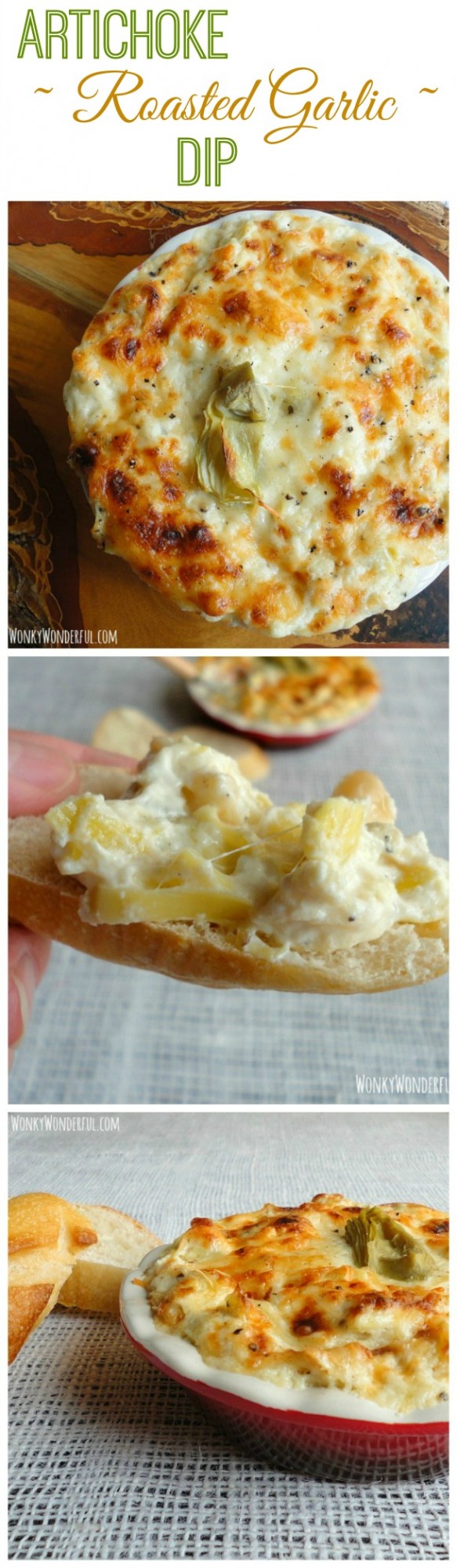 20 Delicious Appetizer and Dip Recipes  (2)