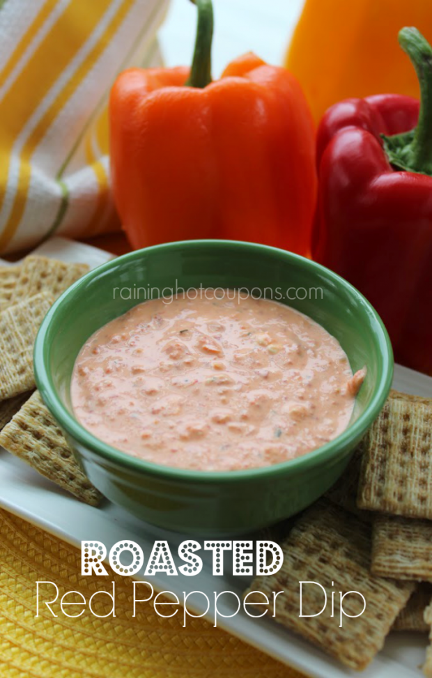20 Delicious Appetizer and Dip Recipes  (3)