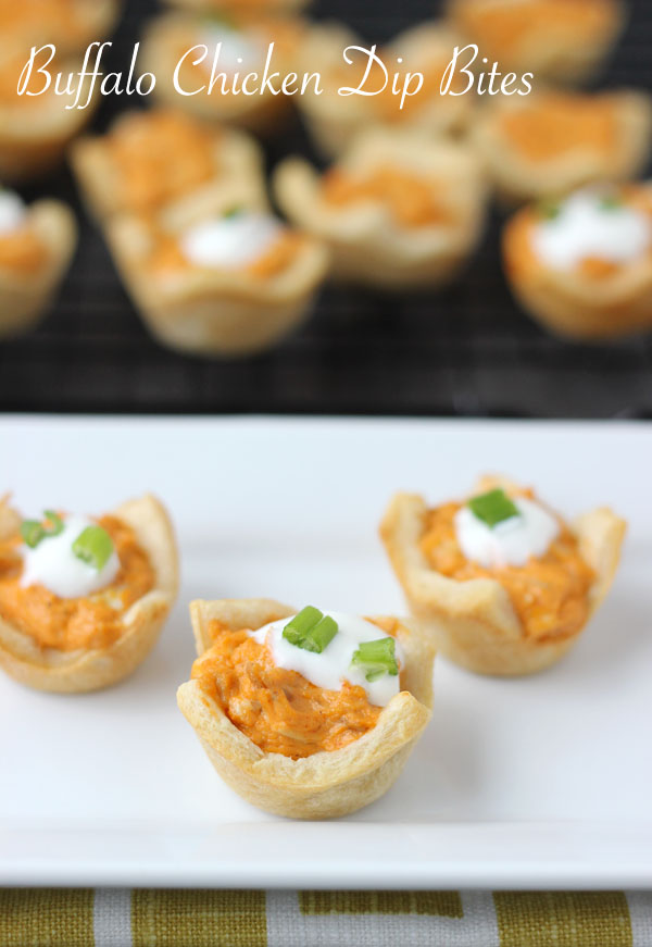 20 Delicious Appetizer and Dip Recipes  (3)