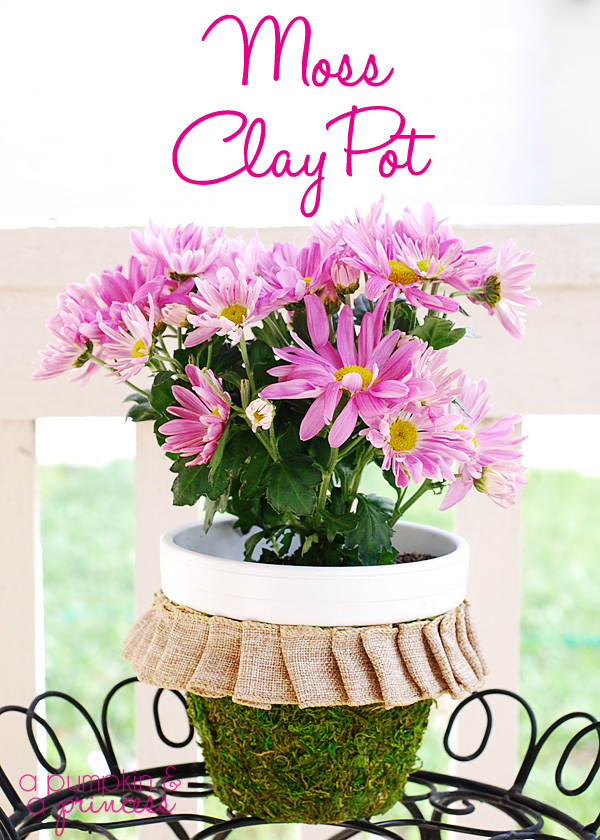 22 Amazing DIY Pot Ideas  (14)