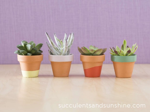 22 Amazing DIY Pot Ideas  (8)