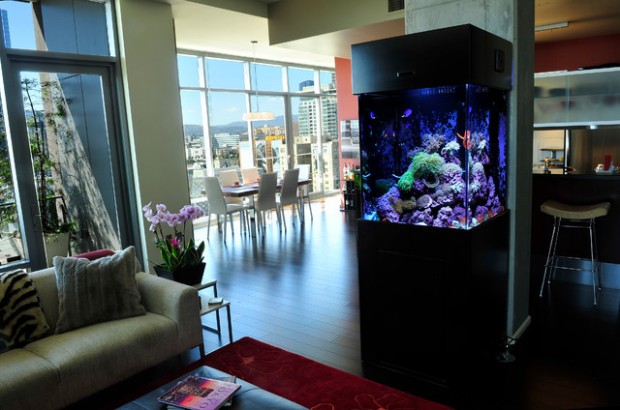 25 Original Ideas with Aquarium in Home Interior (12)