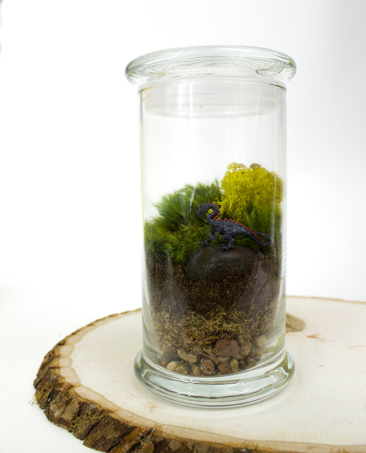 27 Small and Cute Themed Terrariums