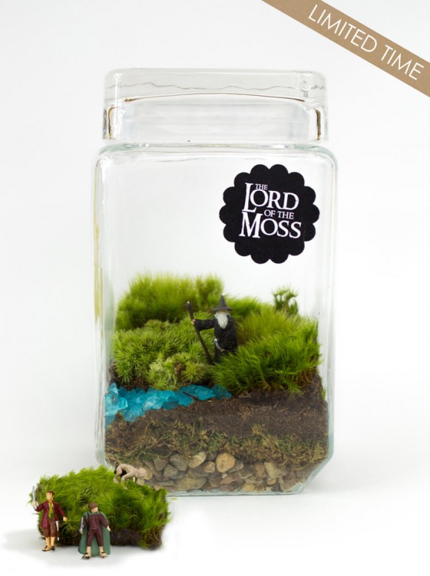 27 Small and Cute Themed Terrariums (3)