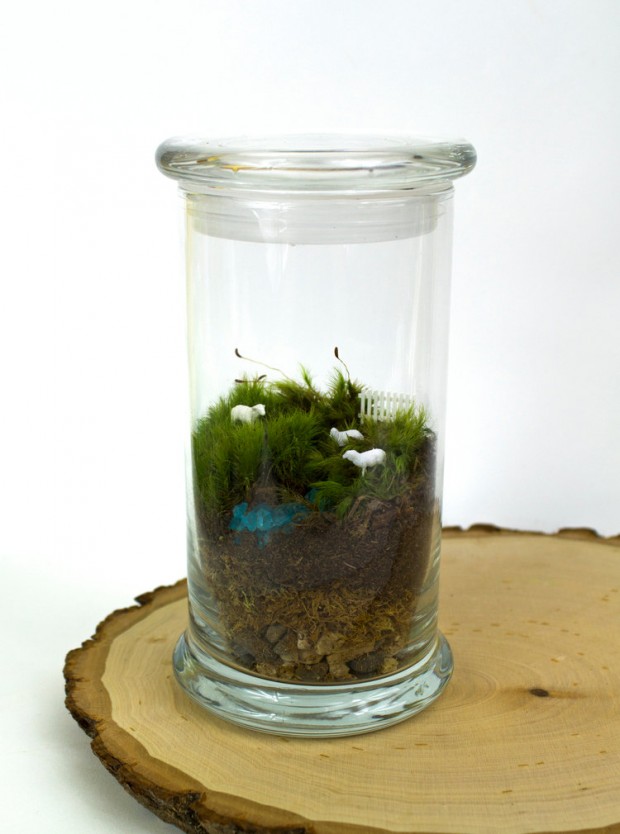 27 Small and Cute Themed Terrariums (7)