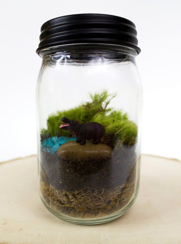 27 Small and Cute Themed Terrariums (9)