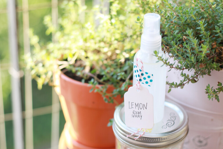 16 Great DIY Natural Air Fresheners for Your Home