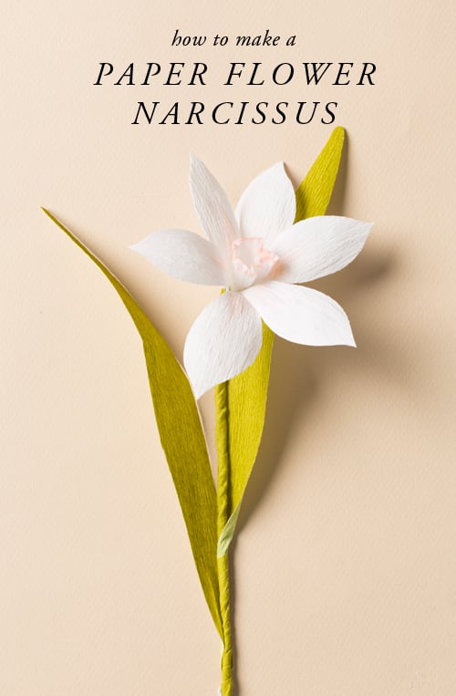 19 Cute DIY Paper Flower Ideas to Celebrate Spring (11)
