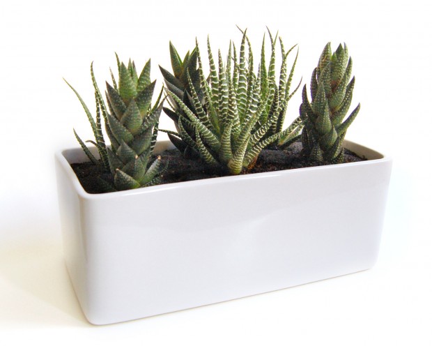 Buy it here: www.etsy.com 15 Astounding Handmade Modern Planter Designs (1)