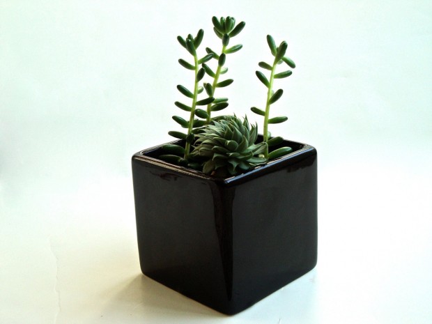 15 Astounding Handmade Modern Planter Designs (2)