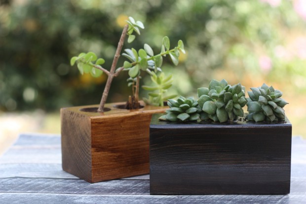 15 Astounding Handmade Modern Planter Designs (3)