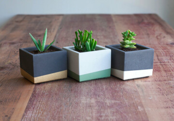 15 Astounding Handmade Modern Planter Designs - wooden, Succulent, sharp, shape, pot, Planter, plant, Natural, modern, holder, handmade, garden, flowerpot, Flower, decoration, concrete, cactus, block