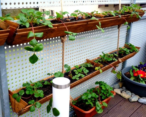 17 Great DIY Spring Ideas for Your Garden (2)