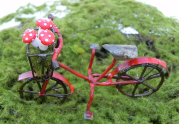 18 Charming Miniature Fairy Garden Decorations - wood, tree, tiny, terrarium, spring, plant, outdoor, nature, moss, miniature, grass, garden, Flower, fairy, decoration, back yard
