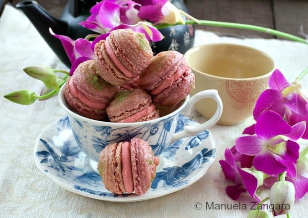 Macarons for Dessert 18 Great Recipes that Look So Sweet  (14)