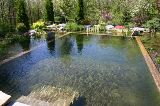 natural pool (6)