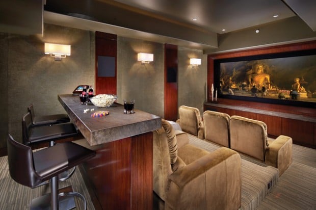 home theater (13)